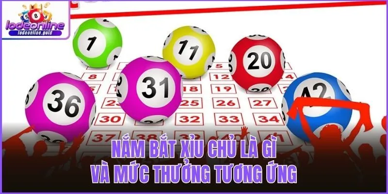 Nắm bắt xỉu chủ là gì và mức thưởng tương ứng